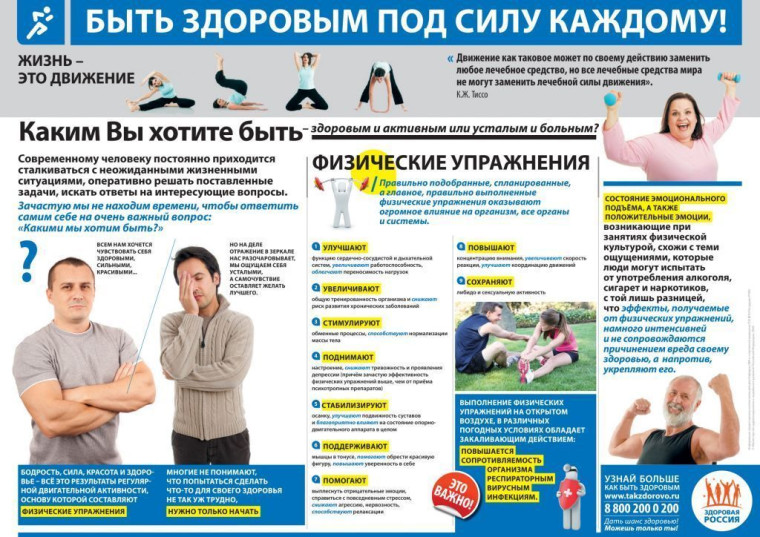 Профилактика и поддержка ЗОЖ.